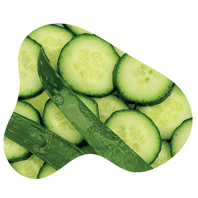 Komkommer Aloe Vera